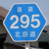ʓ295