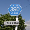 ʓ390