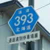ʓ393
