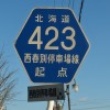 ʓ423