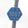 ʓ1007