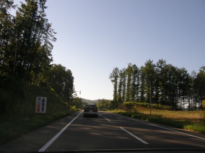 v98