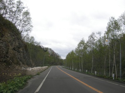 主要道道98号線