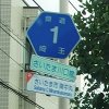 ʌ1