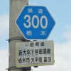 Ȗ،300