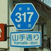 s317